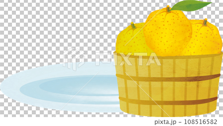 桶に入ったゆずの水彩画　イラスト素材 108516582