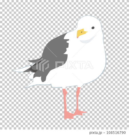 オオセグロカモメのイラスト 108516790