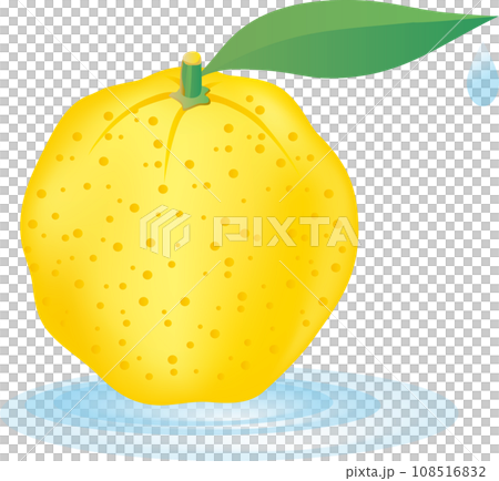 柚子簡單插畫素材 108516832