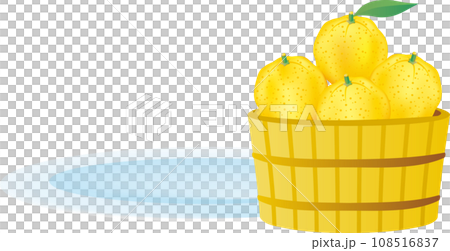 Simple illustration material of yuzu 108516837