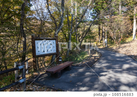 秋の赤城森林公園 群馬県前橋市 秋の赤城森林公園 群馬県前橋市 108516883