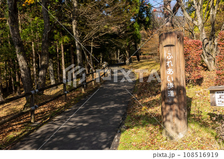秋の赤城森林公園 群馬県前橋市 秋の赤城森林公園 群馬県前橋市 108516919