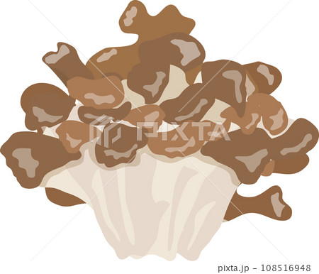 舞茸 舞茸 108516948