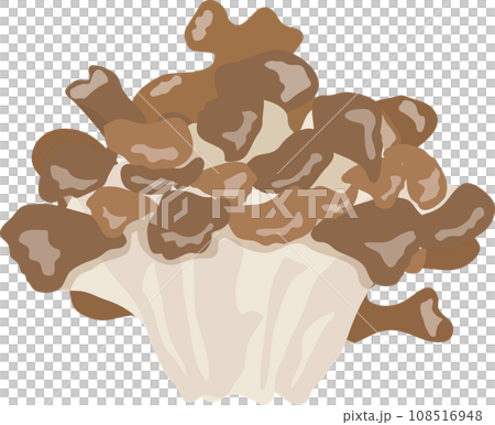 舞茸 舞茸 108516948