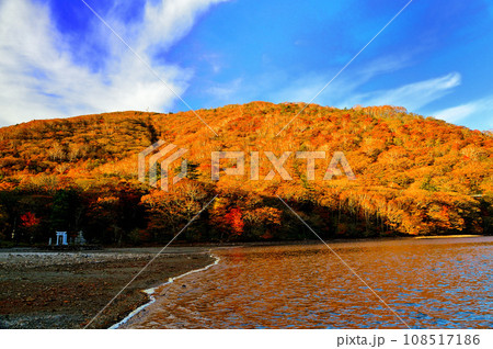 紅葉　赤城山　大沼湖畔 108517186