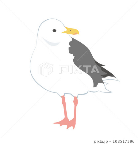 オオセグロカモメのイラスト 108517396