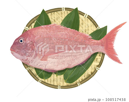 真鯛（ザル、笹の葉付き） 108517438