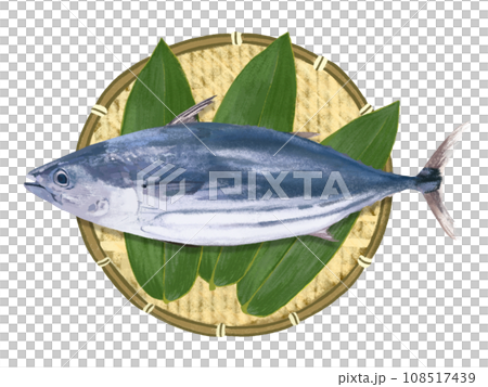 Bonito (with colander and bamboo leaves) Bonito (with colander and bamboo leaves) 108517439