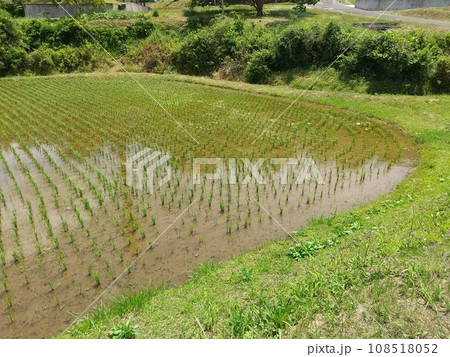 水田　松川・金谷川付近 108518052