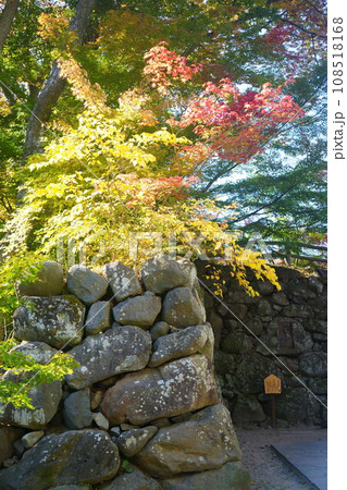石垣と紅葉 石垣と紅葉 108518168