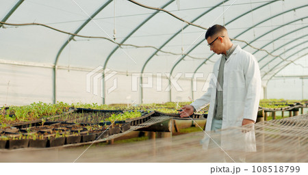 Botanist, man and greenhouse for agriculture, farming and study plants or vegetables for science. Scientist, farmer or person at nursery, garden or research leaf, food experiment or ecology in nature Botanist, man and greenhouse for agriculture, farming and study plants or vegetables for science. Scientist, farmer or person at nursery, garden or research leaf, food experiment or ecology in nature 108518799