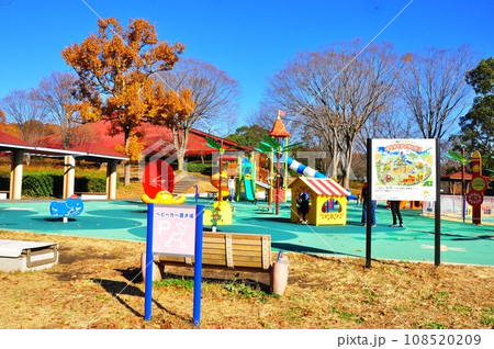 横浜市青葉区　こどもの国のすくすくアイランドと紅葉 108520209