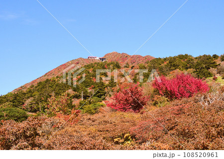 雲仙妙見岳の紅葉 108520961