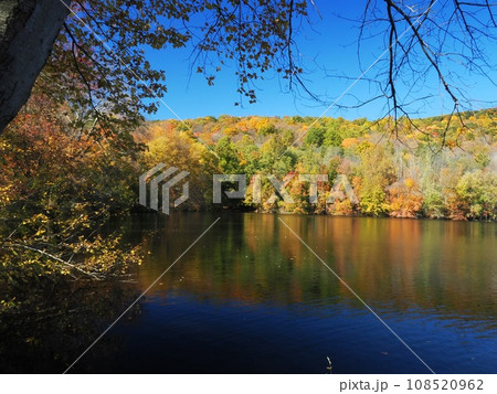 紅葉と湖の風景 108520962