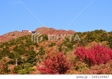 雲仙妙見岳の紅葉 雲仙妙見岳の紅葉 108520967