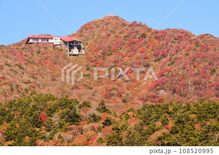 雲仙妙見岳の紅葉 雲仙妙見岳の紅葉 108520995