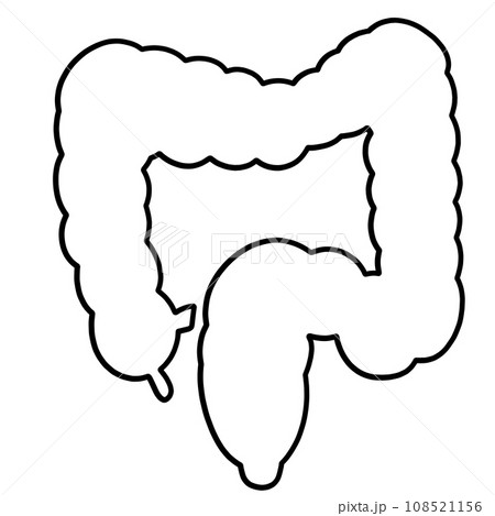 大腸のシンプルなイラストのイラスト素材 [108521156] - PIXTA