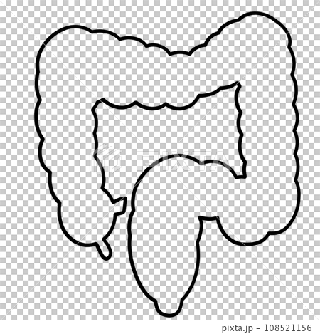 大腸のシンプルなイラストのイラスト素材 [108521156] - PIXTA