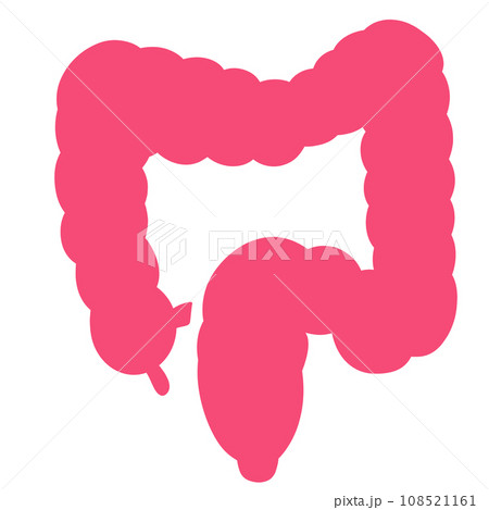 大腸のシンプルなイラスト 大腸のシンプルなイラスト 108521161