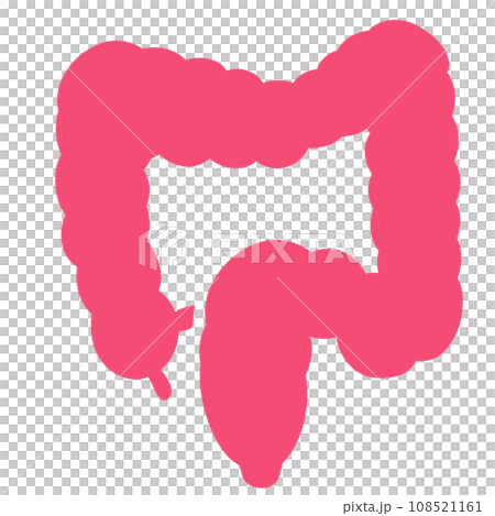 大腸のシンプルなイラスト 大腸のシンプルなイラスト 108521161
