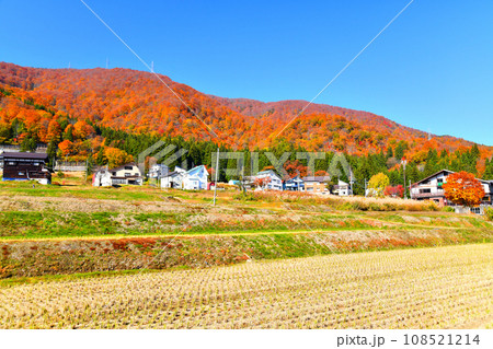 新潟県湯沢町芝原(神立)の風景(新潟県湯沢町)【2023.11】 108521214