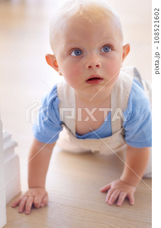 Baby, face and toddler in home on floor learning to crawl with hands for child development. Relax, cute kid or healthy young boy on ground for motor skills, growth or balance in house living room Baby, face and toddler in home on floor learning to crawl with hands for child development. Relax, cute kid or healthy young boy on ground for motor skills, growth or balance in house living room 108521602