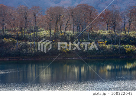 晩秋の須川湖 秋田県 晩秋の須川湖 秋田県 108522045