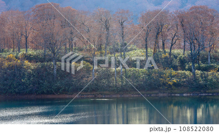 美しい晩秋の須川湖　秋田県 108522080