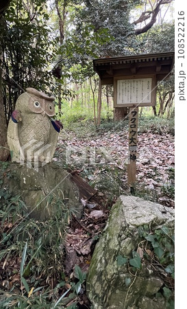 フクロウ大明神 フクロウ大明神 108522216
