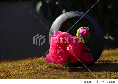 牡丹のある風景 【東京都台東区上野東照宮ぼたん苑にて】 牡丹のある風景 【東京都台東区上野東照宮ぼたん苑にて】 108522886
