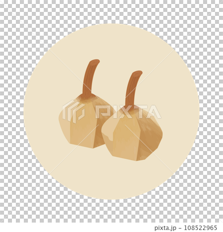 New Year's card Japanese food Osechi illustration 108522965