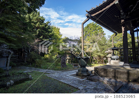 鎌倉11月 安国論寺3 鎌倉11月 安国論寺3 108523065