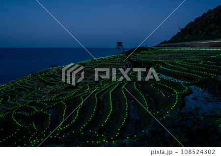 奥能登の観光名所｜世界農業遺産の白米千枚田のイルミネーションの夜景｜あぜのきらめき｜石川県輪島市 108524302