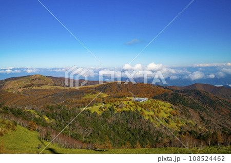 長野県上田市　秋の美ヶ原高原の風景　王ヶ頭　王ヶ鼻 108524462