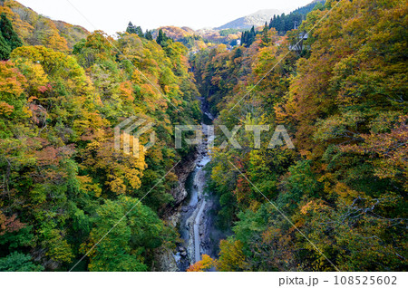 紅葉の小安峡 秋田県 紅葉の小安峡 秋田県 108525602