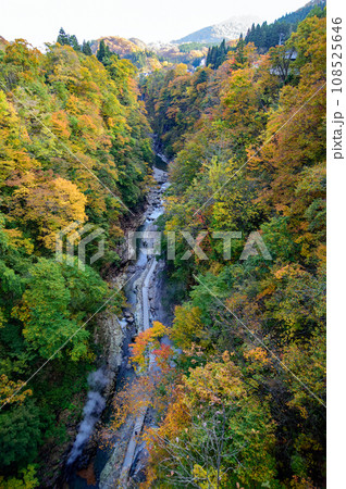 紅葉の小安峡 秋田県 紅葉の小安峡 秋田県 108525646