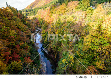 紅葉の小安峡　秋田県 108525687