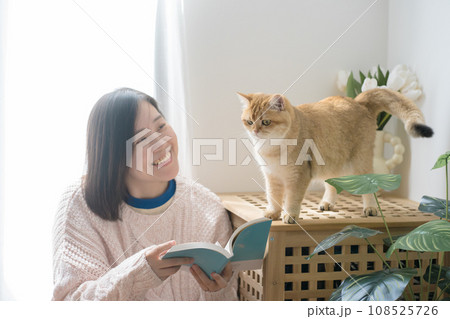 cat care concept with asian woman read book and play with gold british cat at home 108525726