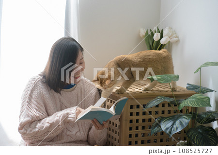 cat care concept with asian woman read book and play with gold british cat at home cat care concept with asian woman read book and play with gold british cat at home 108525727