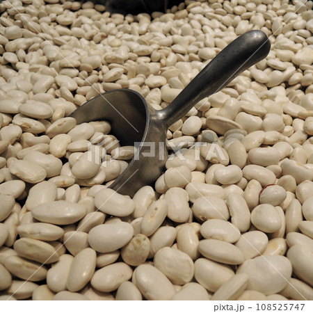 Bulk Scoop In A Heap Of Large White Kidney Beans Detailed Stock Photo Bulk Scoop In A Heap Of Large White Kidney Beans Detailed Stock Photo 108525747