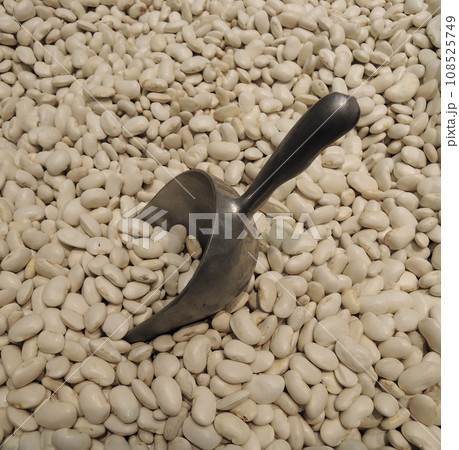 A scoop for bulk products is stuck in scattered large size white beans top view stock photo 108525749