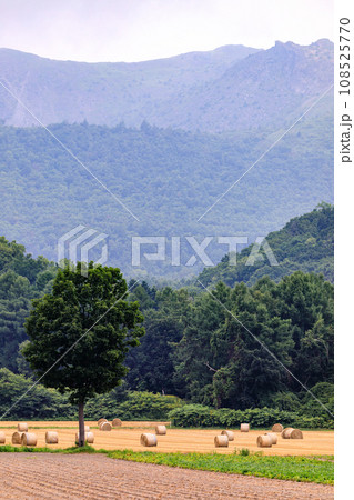 北海道伊達市、有珠山の麓に転がる牧草ロール【7月】 北海道伊達市、有珠山の麓に転がる牧草ロール【7月】 108525770