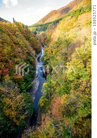 秋　絶景の小安峡　秋田県 108525771