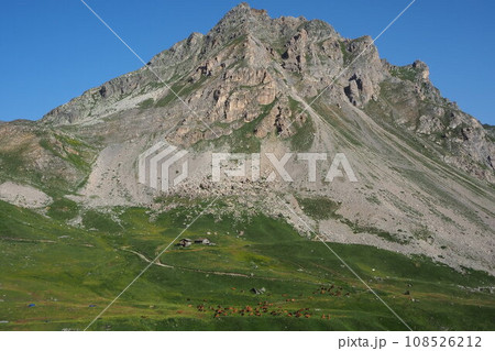 ハイジを彷彿とさせるアルプスの壮大な風景 in フランス ハイジを彷彿とさせるアルプスの壮大な風景 in フランス 108526212