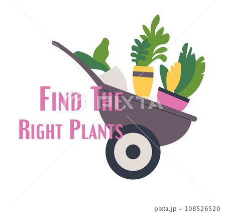 Find the right plants for your home and garden 108526520