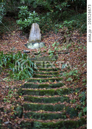 鎌倉11月 妙法寺6 鎌倉11月 妙法寺6 108526673