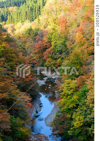 紅葉する小安峡の絶景　秋田県 108526919