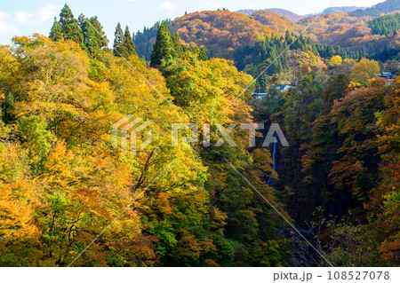 秋の小安峡　紅葉する絶景　秋田県 108527078