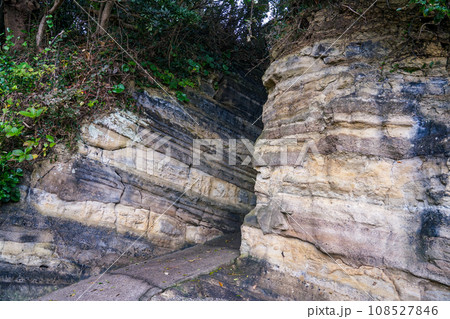 観音崎灯台の切通し(神奈川県横須賀市) 観音崎灯台の切通し(神奈川県横須賀市) 108527846
