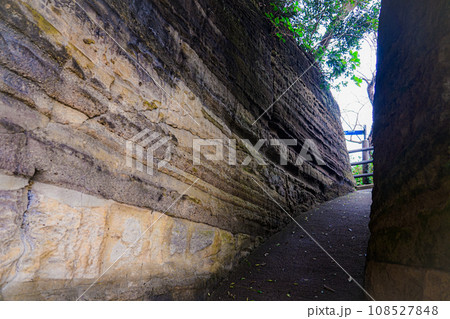 観音崎灯台の切通し(神奈川県横須賀市) 観音崎灯台の切通し(神奈川県横須賀市) 108527848